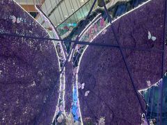 -老昌春饼(松北店)