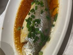 -金美华轩(东方路齐鲁店)