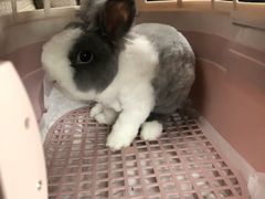 -乐宠宠物店(世纪金源店)