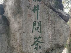 -中国茶叶博物馆(双峰馆区)