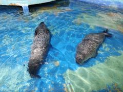 -太平洋海底世界