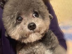 -多卡布奇宠物生活馆(上林世家店)