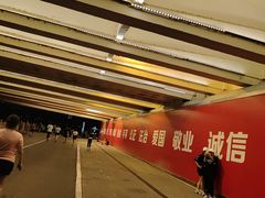 -南宁南湖公园