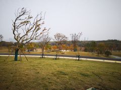 -盘龙城国家考古遗址公园