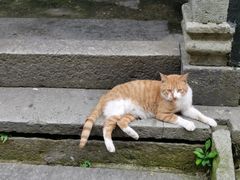 -东梓关景区村庄