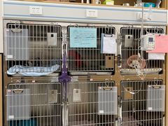 -瑞派康怡24h宠物医院·犬猫医疗中心·微创绝育(瑞景分院)