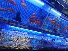-五月罗马海鲜烤肉自助餐厅(印象城店)