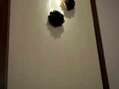 -Dragonfly悠庭·按摩Spa(静安嘉里中心店)