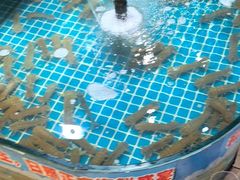 -和源祥·日照菜扛把子(万平口一店)