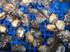 鲍鱼-盒马鲜生(大行宫店)