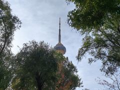 -中央广播电视塔