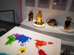 -北京科学中心儿童乐园