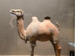 -敦煌市博物馆