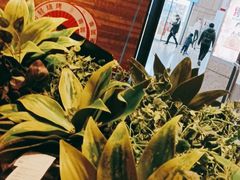 -新石器烤肉(高行万嘉店)