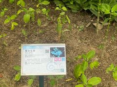 -石排湾郊野公园