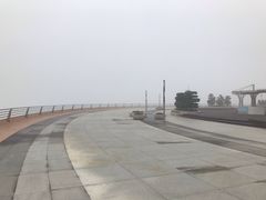 -演武大桥观景平台