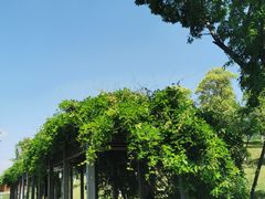 -桂溪生态公园