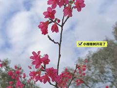 -广州市白云山风景名胜区