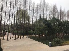 -祥源·阜阳生态乐园