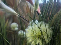 -兴芮温泉度假区