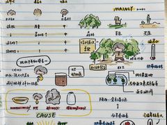 -竞思注意力·专注力·学习能力训练(广开中心)