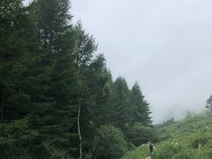 -驼梁风景区