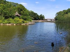 -广州市帽峰山景区