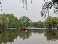 -北陵公园