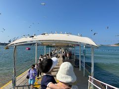 -海驴岛(荣成市)