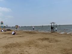 -碧海金沙