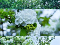 -大龙山(地铁站)