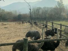 -西安秦岭野生动物园