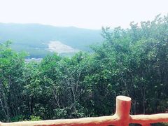 景点-哈尔滨北方森林动物园