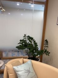 -智美品质医美