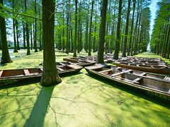 -渌洋湖湿地公园