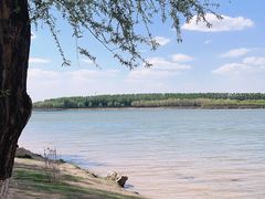 -丁香湖公园