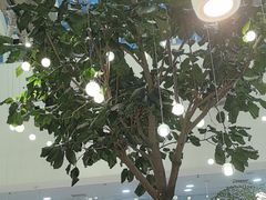 -大树餐厅(红旗街万达店)