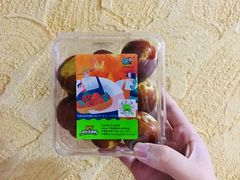 -百果园PAGODA(中铭豪园店)