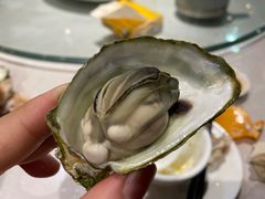 白灼生蚝-南蚝小贝海鲜特色餐厅(南澳岛店)
