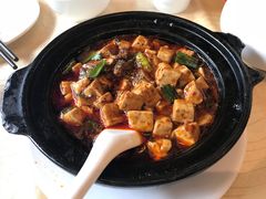-陈麻婆豆腐总店