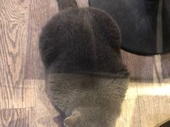 -小时光咖啡馆(开森度假森林店)