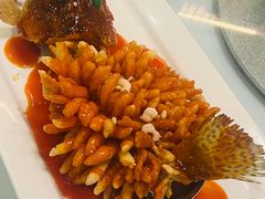 松鼠桂鱼-松鹤楼·非遗·苏帮菜(融科店)
