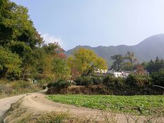 -塔川景区