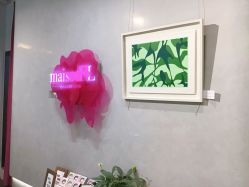 -MaisonFL·美颂法式专业美发艺术沙龙