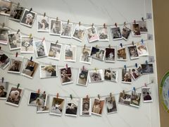 -瑞派康怡24h宠物医院·犬猫医疗中心·微创绝育(瑞景分院)