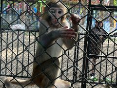 -长白岛森林公园