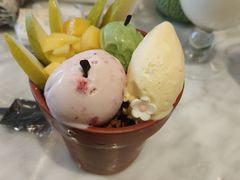 -哈根达斯(深圳海岸城店)
