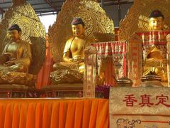 -华林禅寺