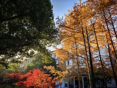 -浙江大学(玉泉校区)