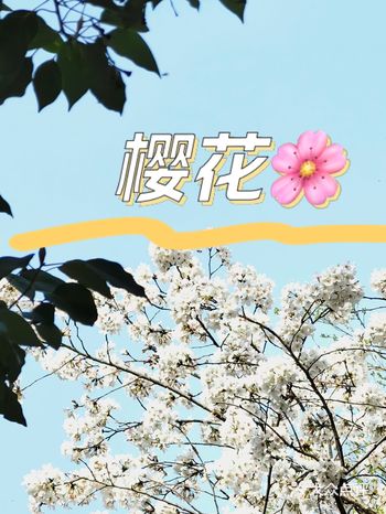 #0元玩转这座城堤角蹭拍，这里樱花开了，还免费